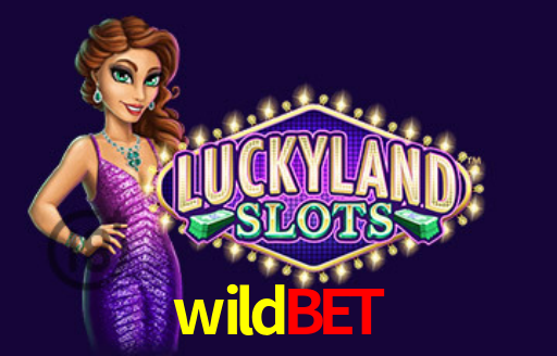 Descubra a Essência do wildbet: Nossa História e Compromissos