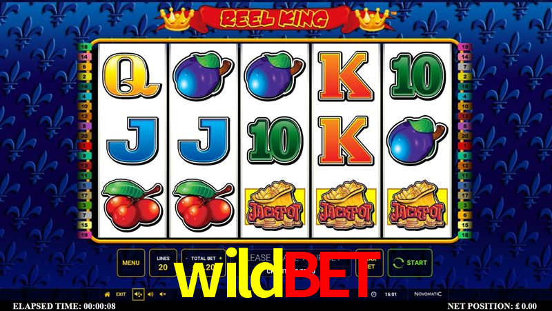 Spaceman Game wildbet