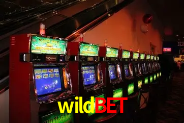 A Popularidade dos Caça-Níqueis no wildbet