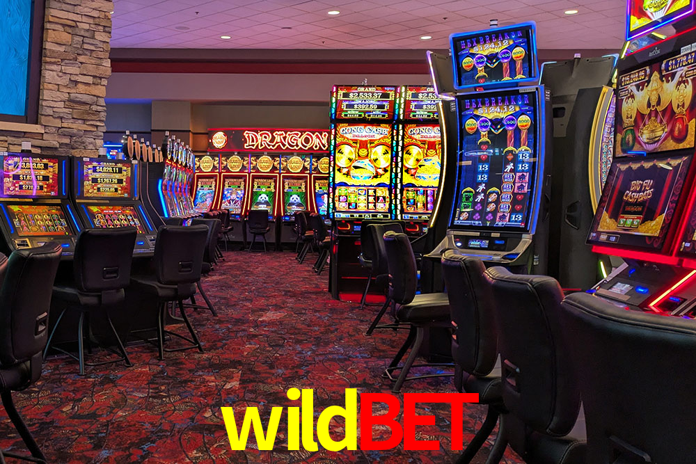 Crash Games Statistics wildbet