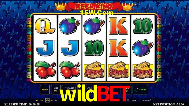 Aviator Game wildbet