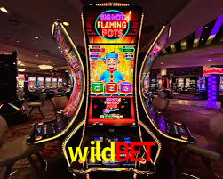 Premium Interface wildbet