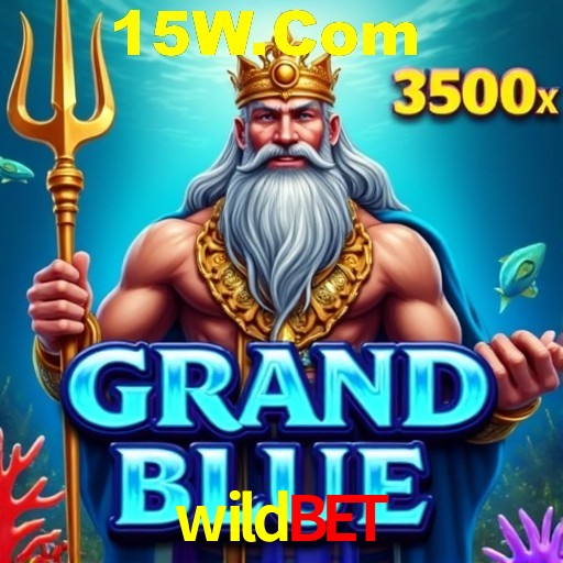 Flash Promotion wildbet